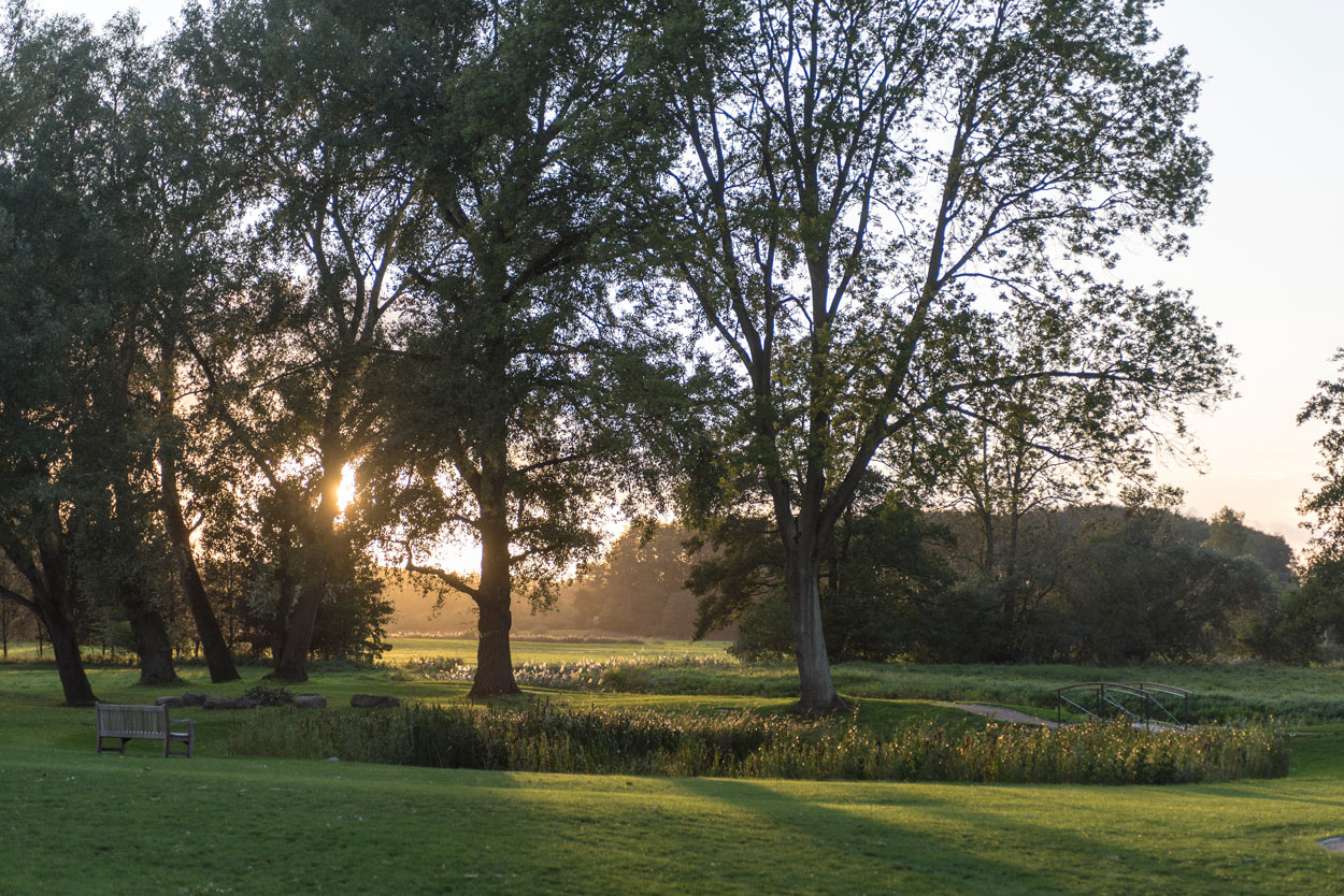 Park in der Abendsonne
