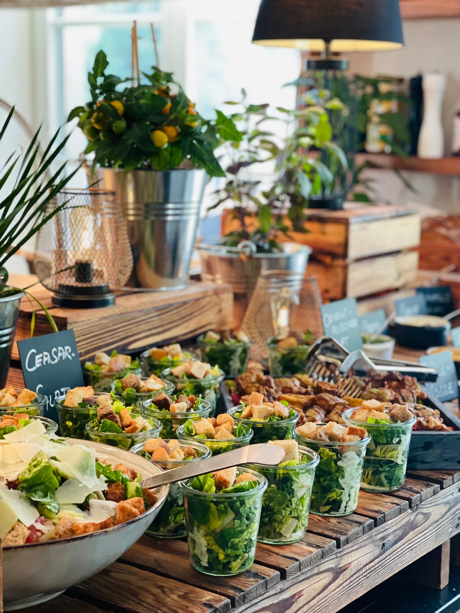 Salate Angerichtet in der Küche